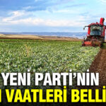 Haber gorseli